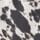 Brown Cow Animal Print