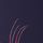 Navy Fuchsia