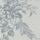 Dark Dove Grey
