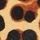 Animal Print