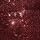 Burgundy Red