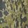 Green Leopard