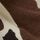 Brown Cow Print