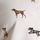 White Dogs