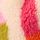 Cream Rainbow Squiggle