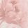 Pink Floral