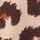 Brown Leopard