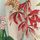 Kew Collection