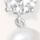 Silver Tone