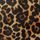 Cheetah Print