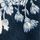 Navy Floral