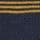 Blue Stripe