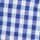 Blue Strawberry Gingham