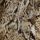 Snake Print
