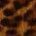 Leopard Print Leather