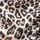 Brown Leopard