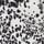Mono Animal Print