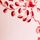 Pink Floral