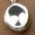 Silver Tone