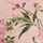 Pink Floral