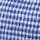 Blue Gingham