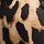 Bruin met luipaardprint