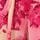 Pink Palm