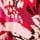 Red Abstract