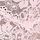 Pink Tulip
