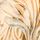 Cream/Gold Corisette