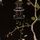Black Chinoiserie Floral