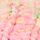 Pink/Green Ombre