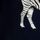 Blue Zebra