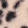 Animal Print