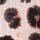 Brown Leopard Print