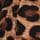 Brown Leopard Print