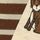 Natural Safari Animals Print & Stripe