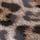 Brown Animal Print