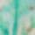 Cream/Pink/Green