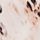 Animal Print