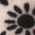 Black & White Floral
