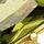 Olive Green Gold Tone