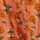 Coral Pink Floral Woodblock Print