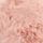 Pink Palm
