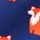 Navy Fox