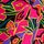 Pink Floral