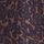 Navy Blue Patch Print