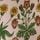 Ecru krema Morris &Co. Daisy