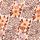 Brown Floral