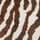 Zebra Print